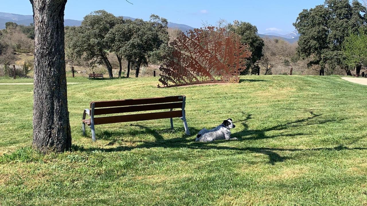 De Un Artista En Plena Naturaleza Piscina Y Parque De Esculturas En